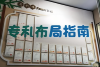 专利布局指南：基本原则与策略详解